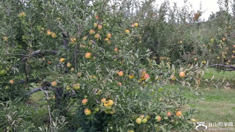 20181007_133411_HDR.jpg