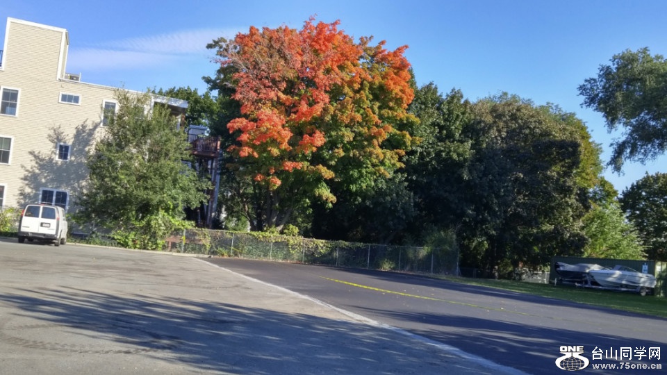 20181019_095653_HDR.jpg