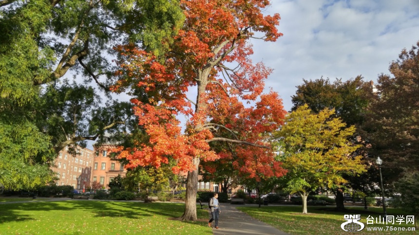 20181023_091810_HDR.jpg