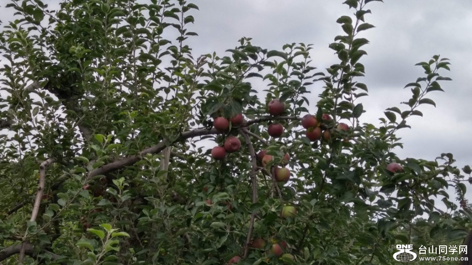 20181007_132028_HDR.jpg