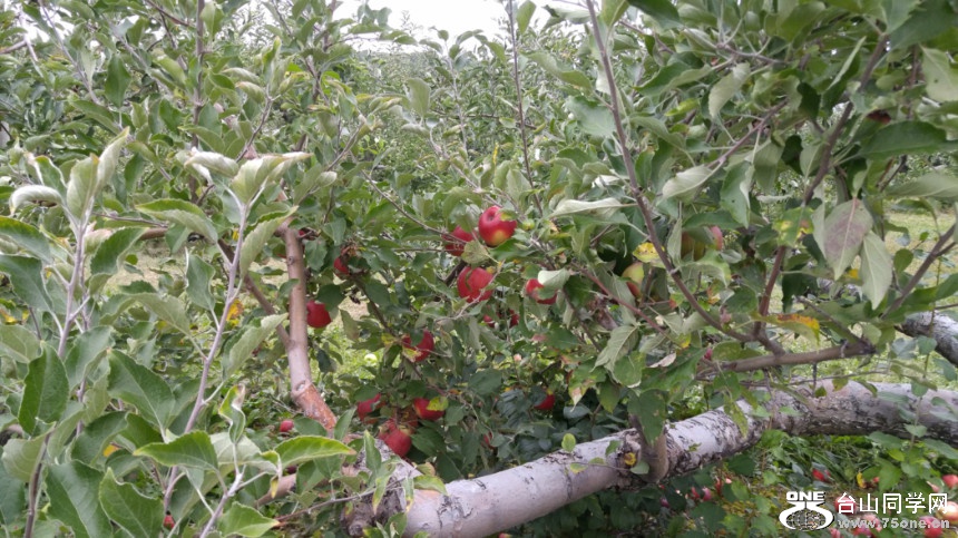 20181007_132010_HDR.jpg