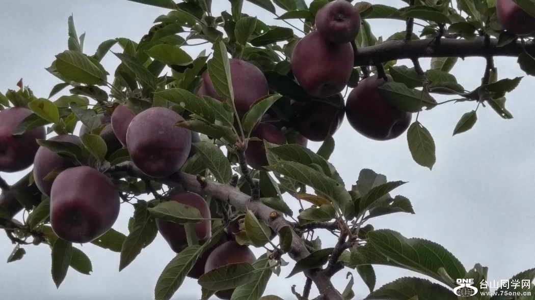 20181007_134549_HDR.jpg