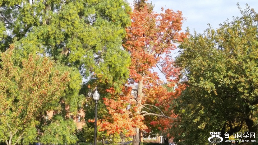 20181023_091735_HDR.jpg