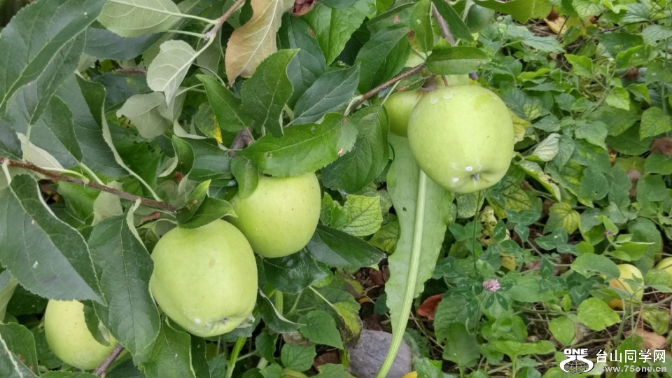 20181007_140130_HDR.jpg
