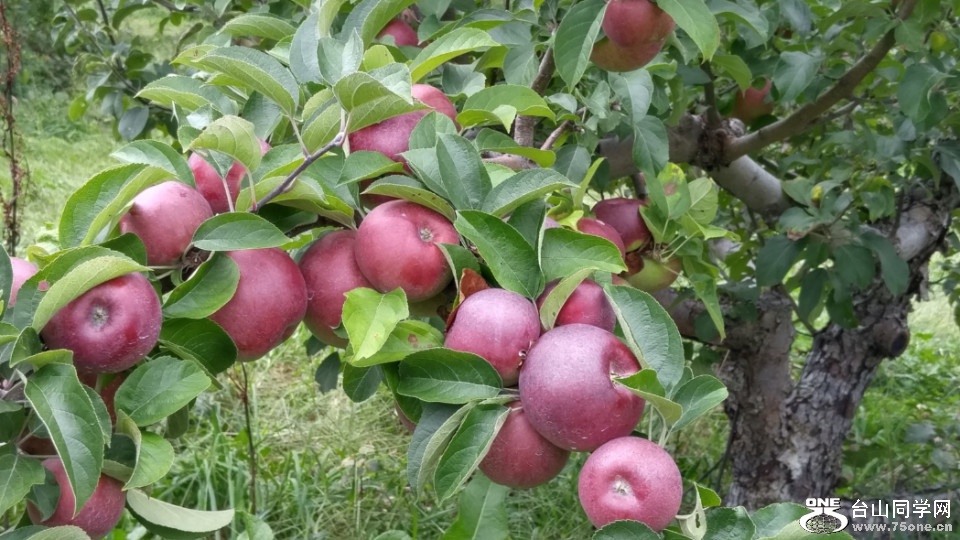 20181007_133136_HDR.jpg