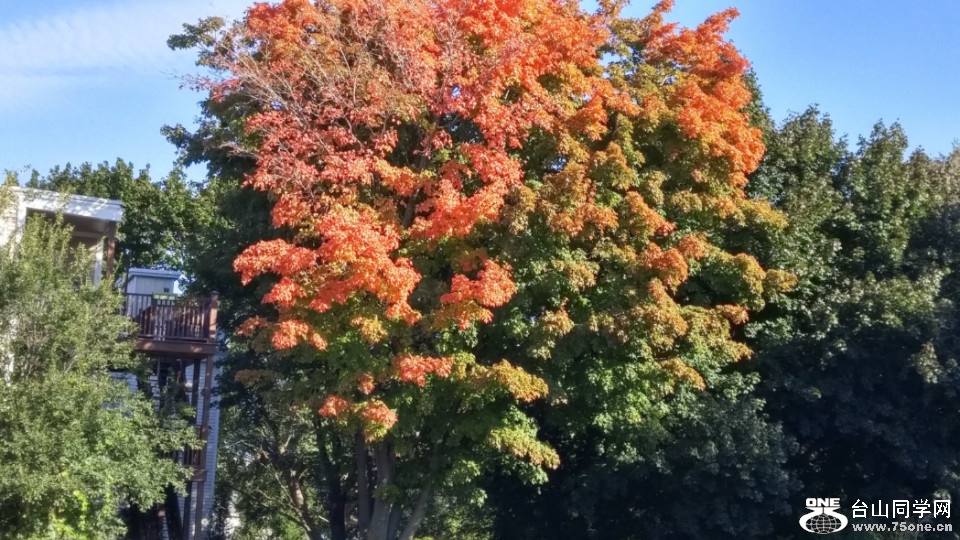 20181019_095643_HDR.jpg