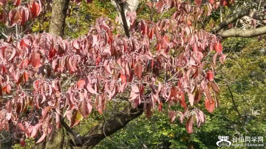 20181023_091650_HDR.jpg