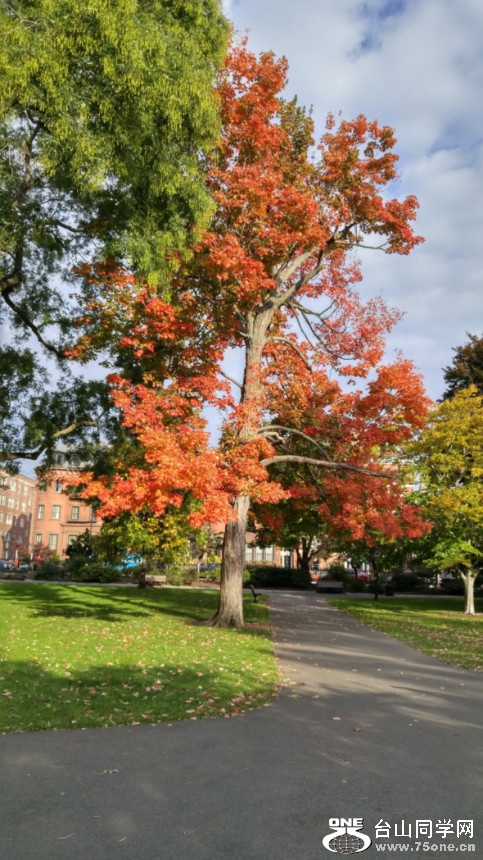 20181023_091819_HDR.jpg