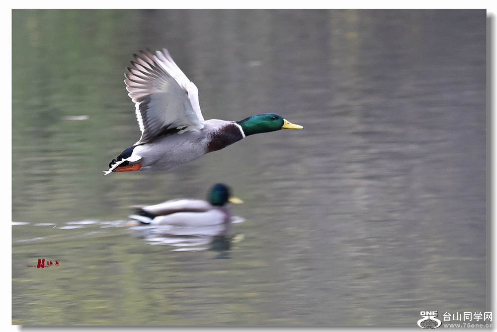 DSC_3176__.jpg