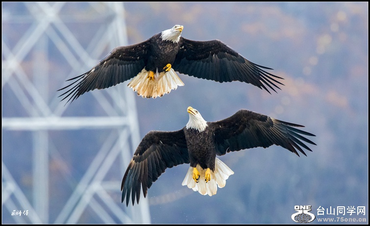 _DSC6042_.jpg
