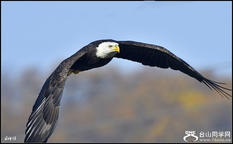 _DSC5070_.jpg