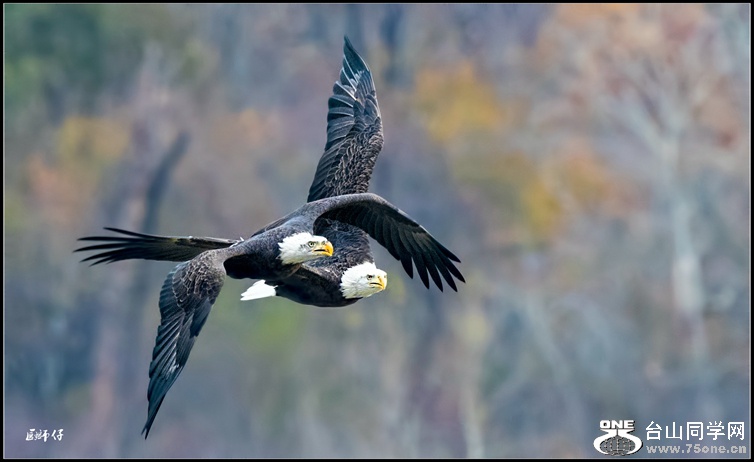 _DSC6032_.jpg
