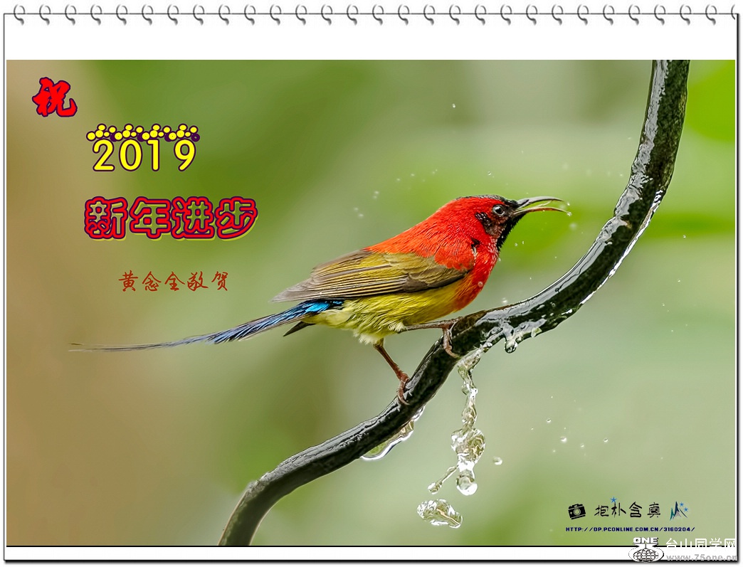 _DSC5152_DxO .jpg