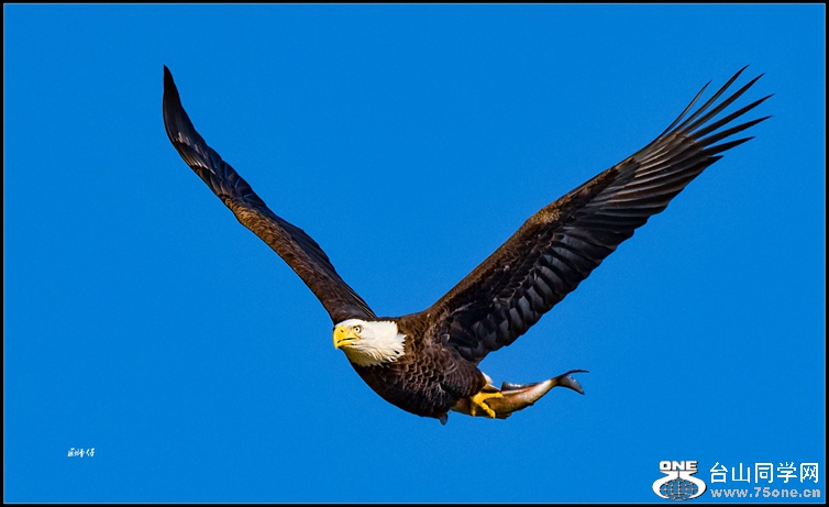 _DSC4548_.jpg