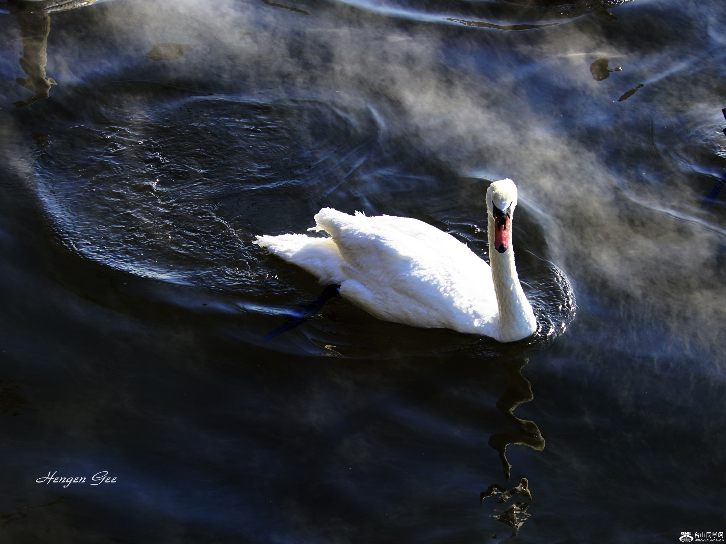 DSC01749__.jpg