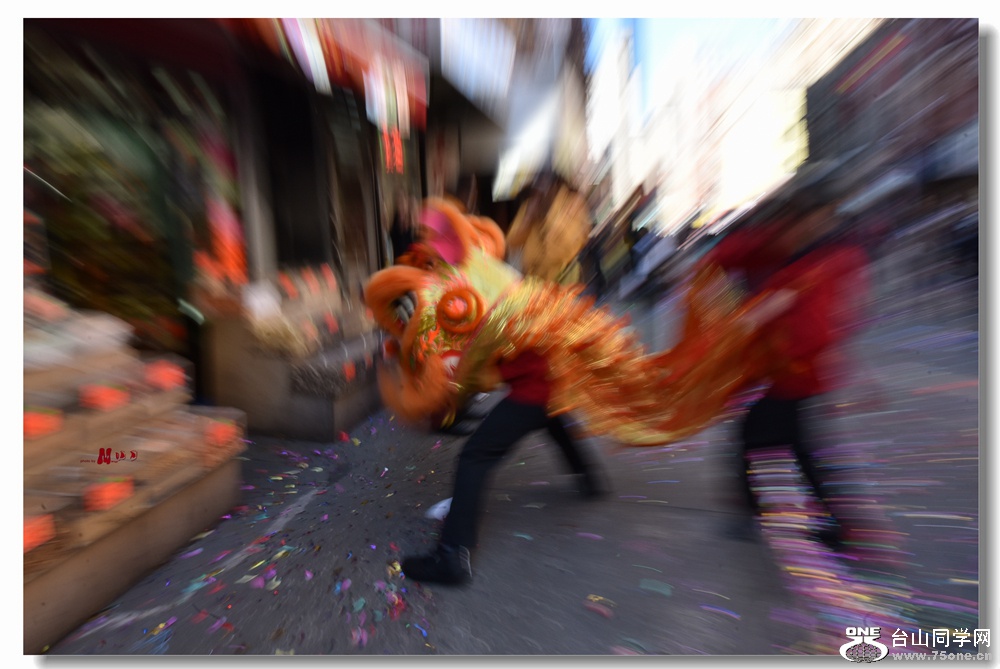 DSC_7273_.jpg
