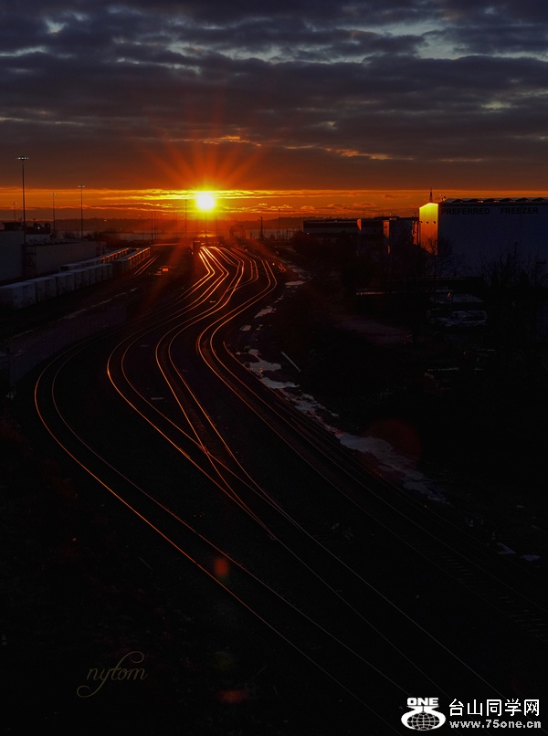DSC01374_.jpg