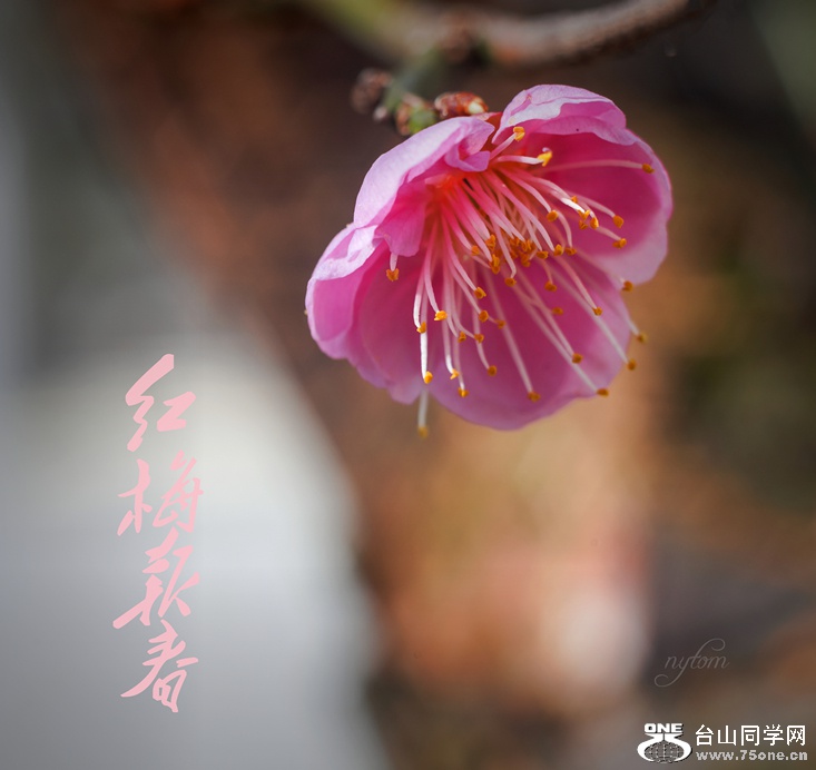 DSC03910.._.jpg