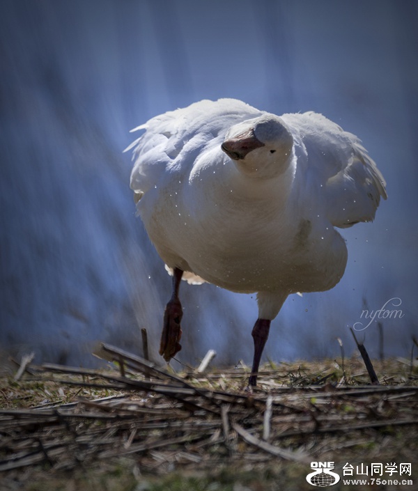 DSC_5291_.jpg