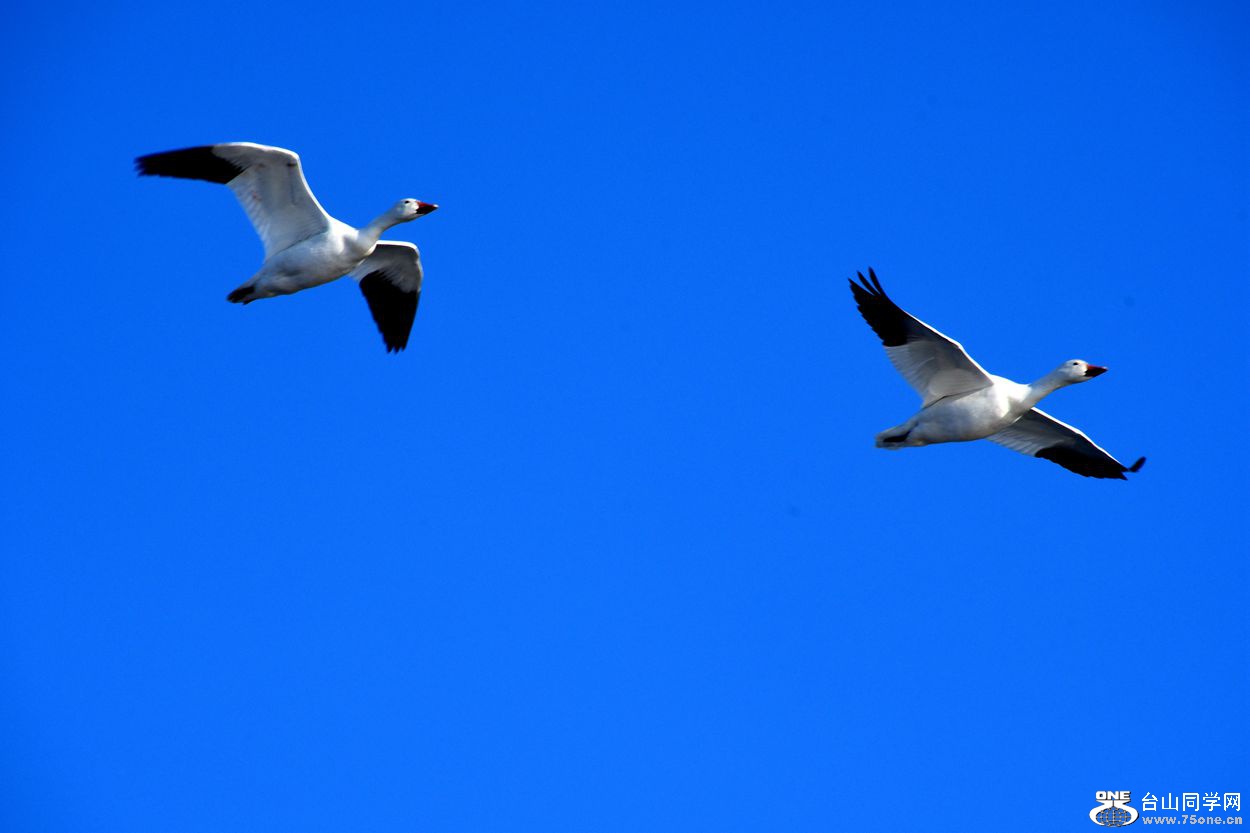 DSC_4555_.jpg