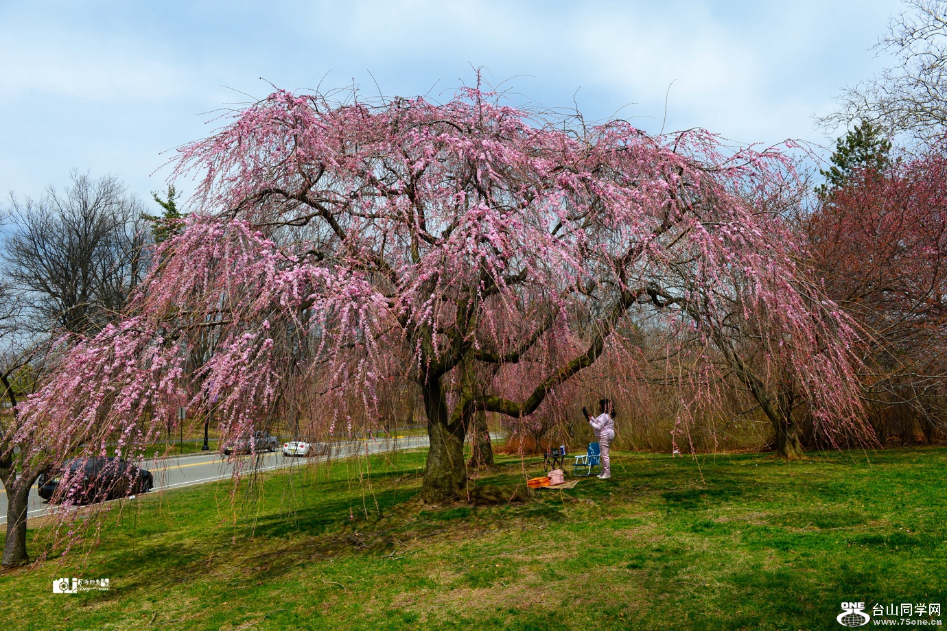DSC_4866_.jpg
