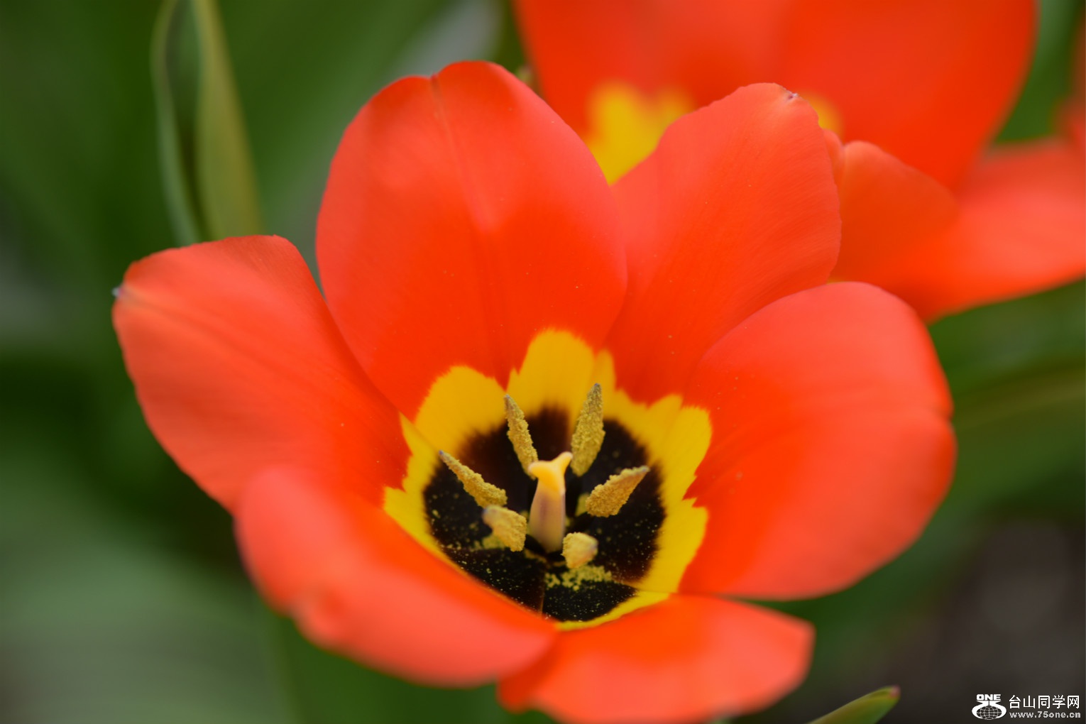 DSC_3022.jpg
