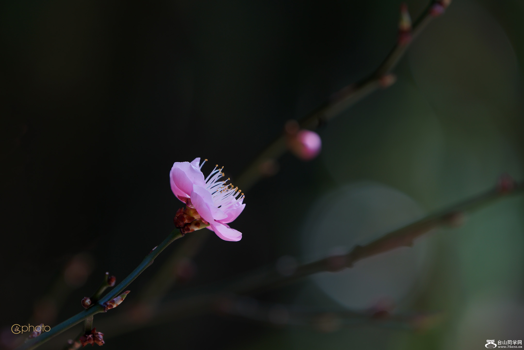 DSC010909.jpg