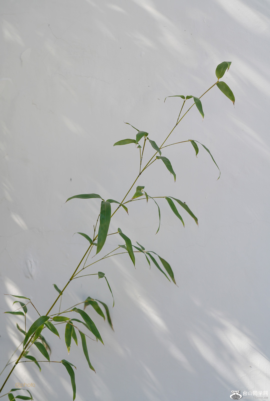 DSC010606.jpg