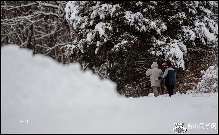 _DSC2887_.jpg