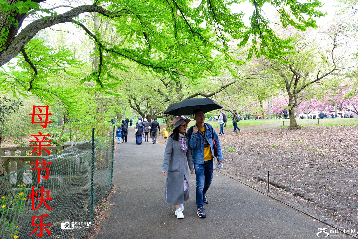 DSC_6369_-2.jpg