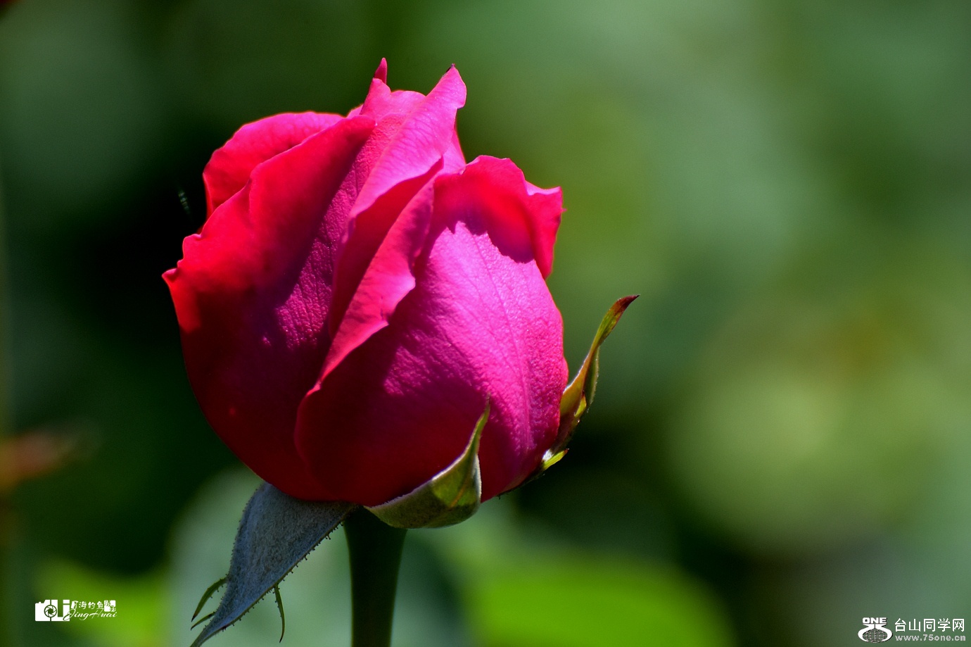 DSC_4668_.jpg