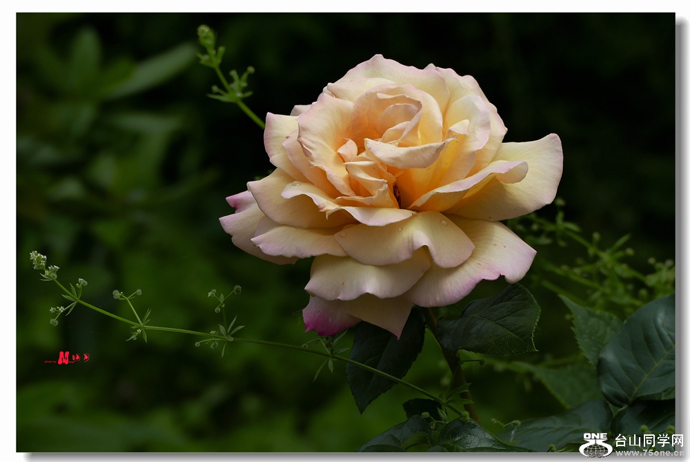L1030064_.jpg