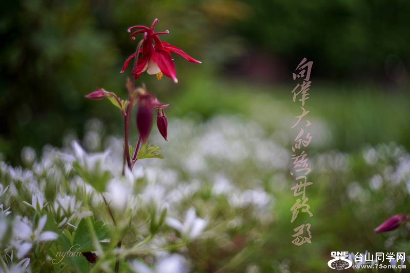 DSC09131_.jpg