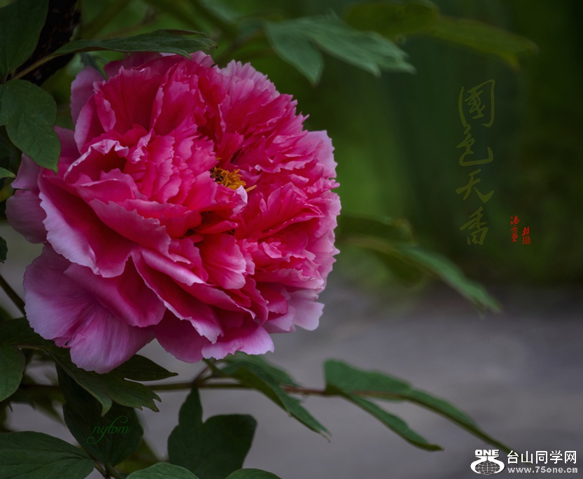 DSC08126_.jpg