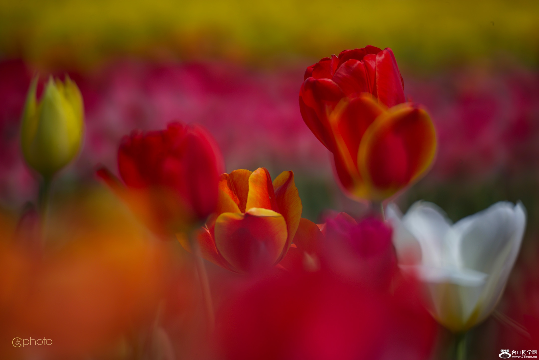 DSC_01747.jpg