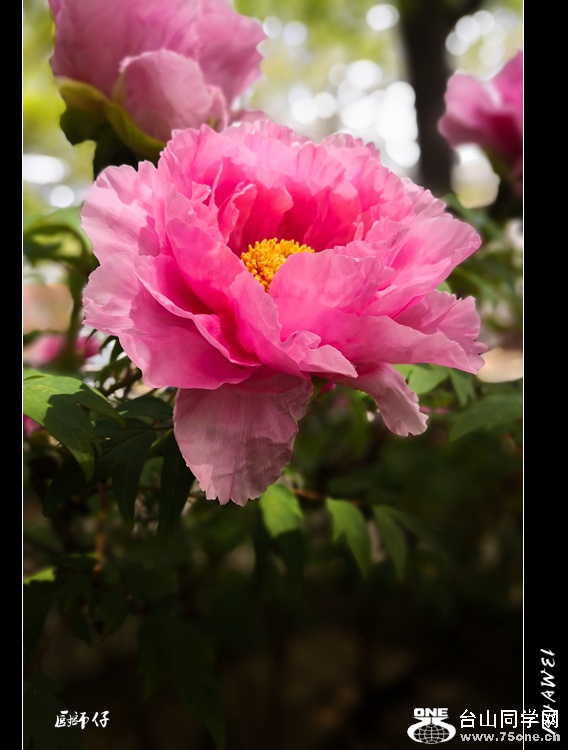 IMG_20180507_115940a_.jpg
