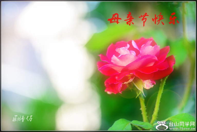 DSC_9078.jpg
