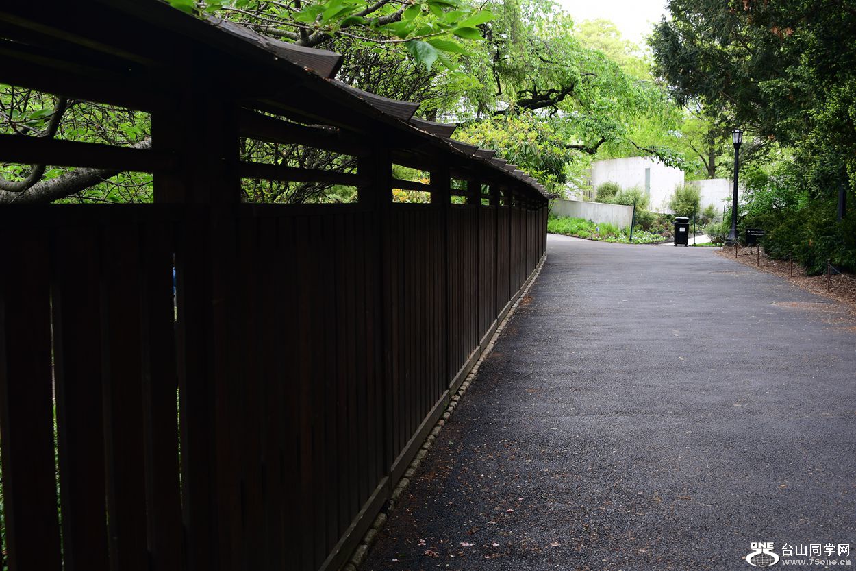 DSC_5687_.jpg