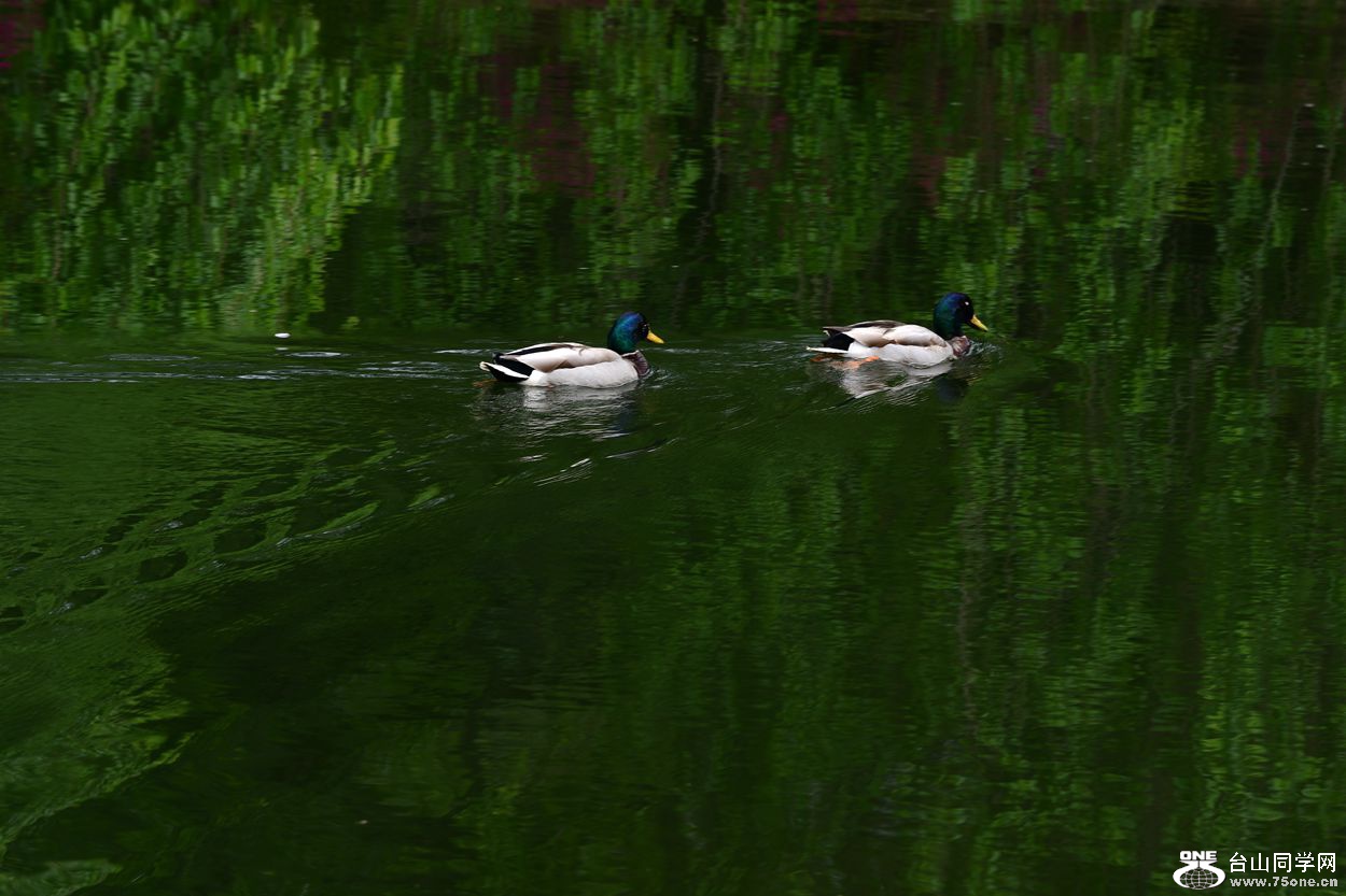 DSC_5677_.jpg
