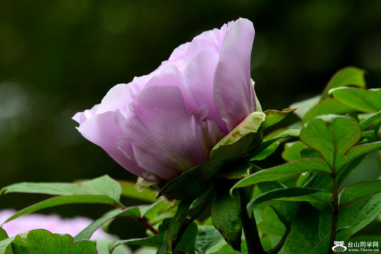 DSC_5722_.jpg