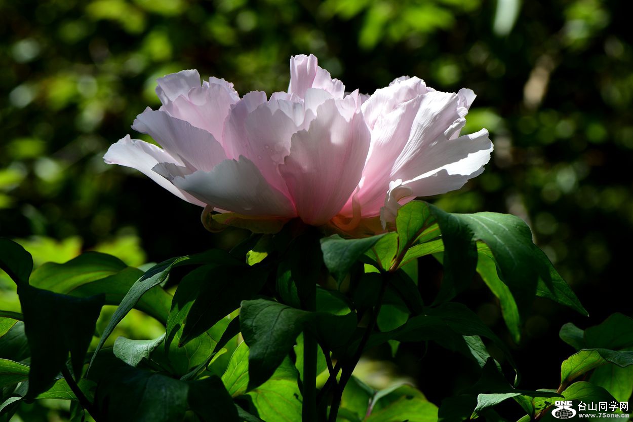 DSC_5839_.jpg