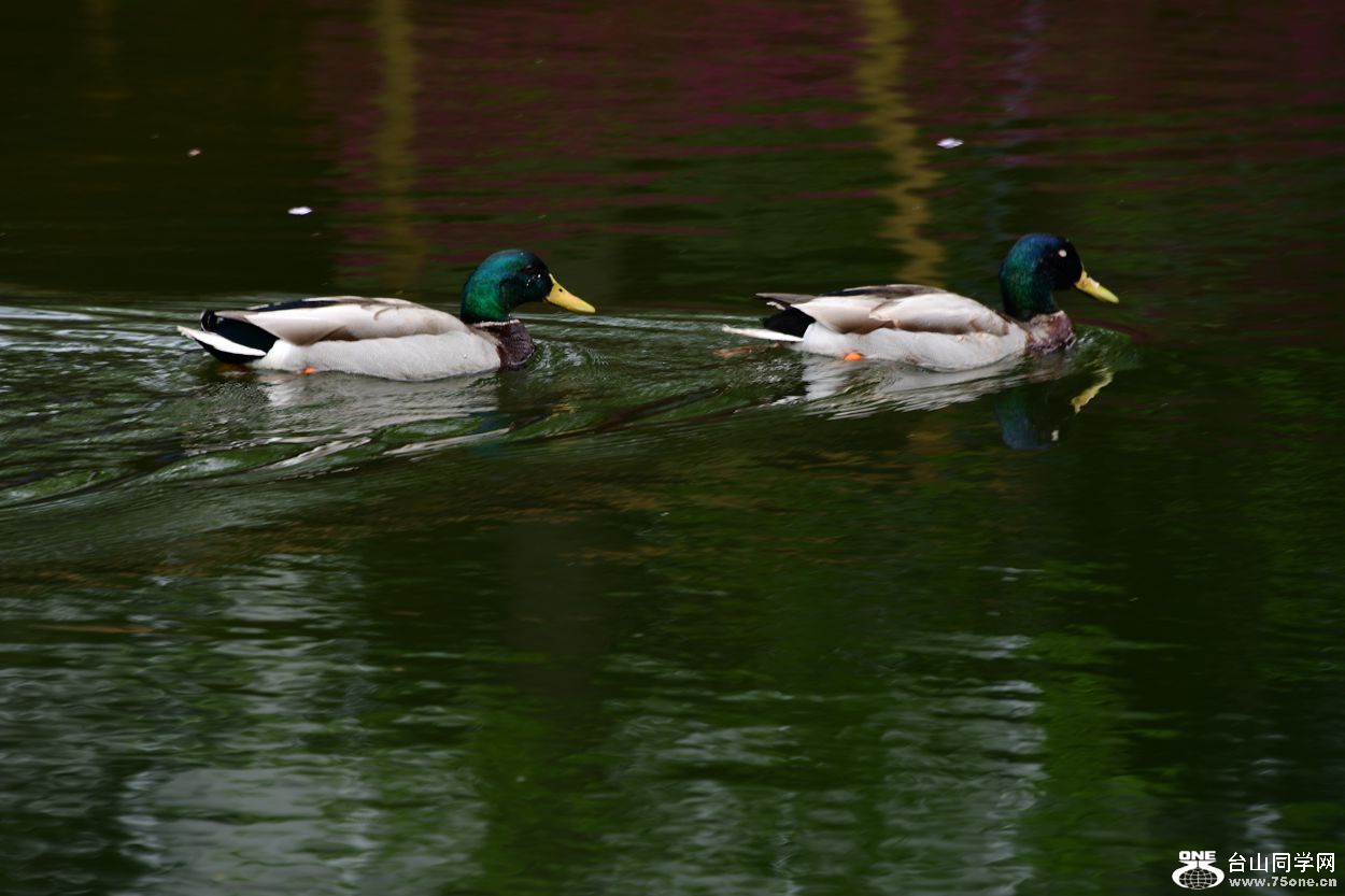 DSC_5676_.jpg