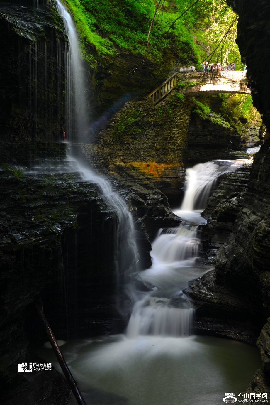 DSC_1459__.jpg
