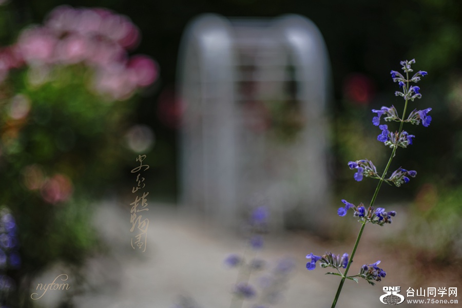 DSC02601_.jpg