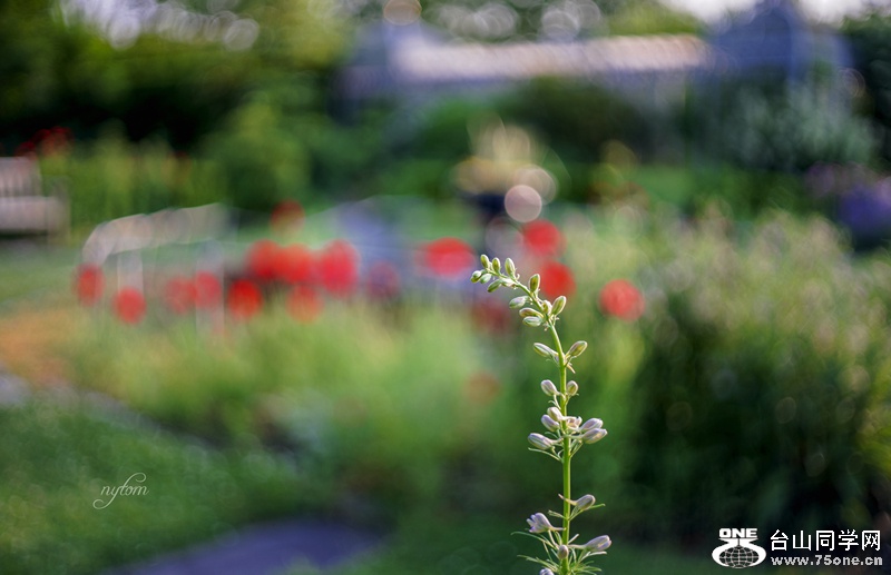 DSC01353_.jpg