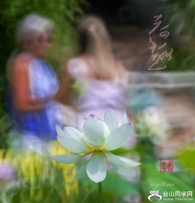 DSC07569_.jpg