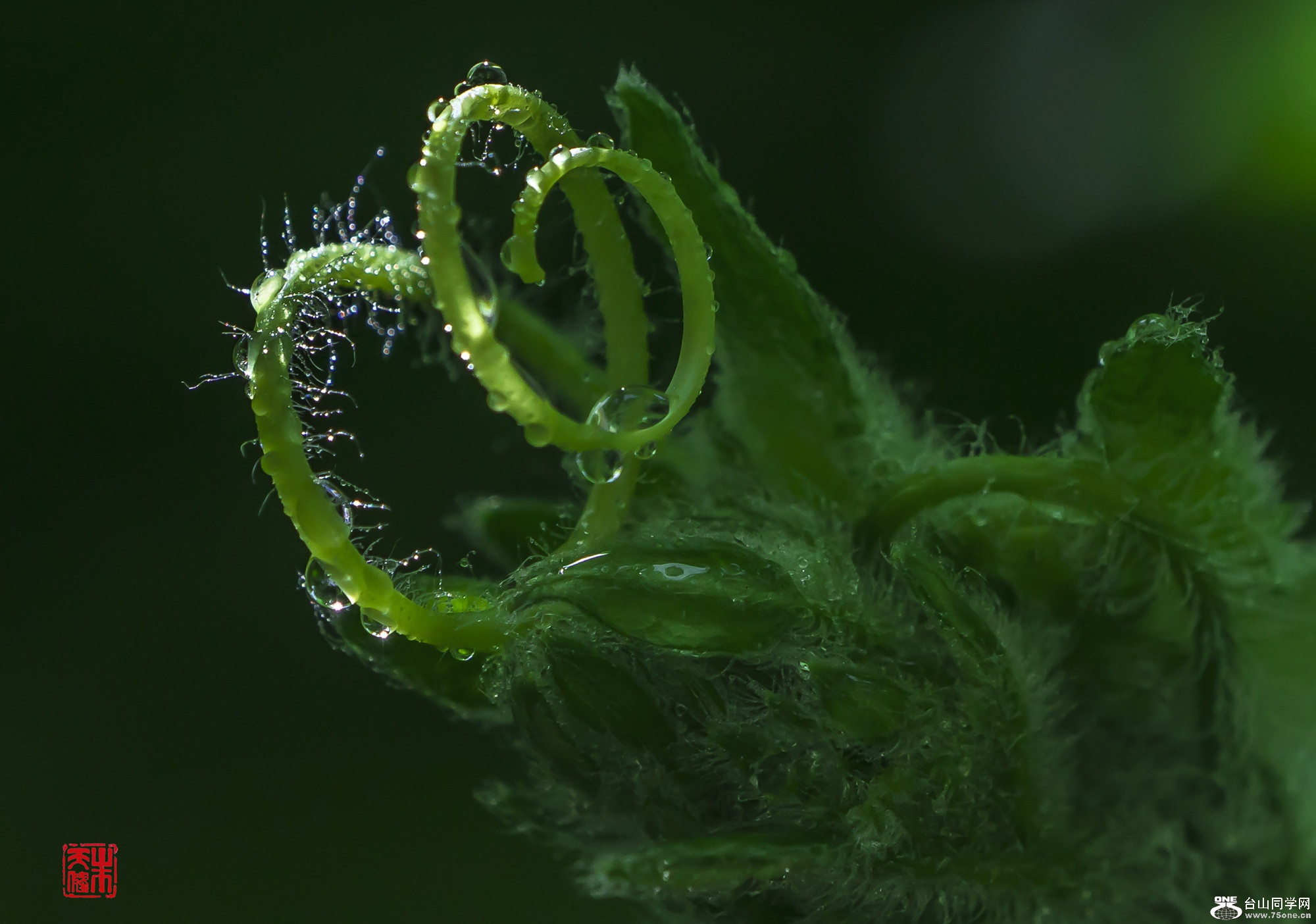 DSC01210_.jpg