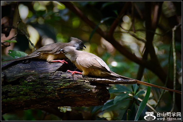 DSC_7682.JPG