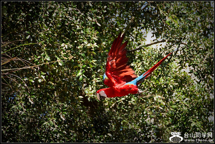 DSC_8005_.jpg