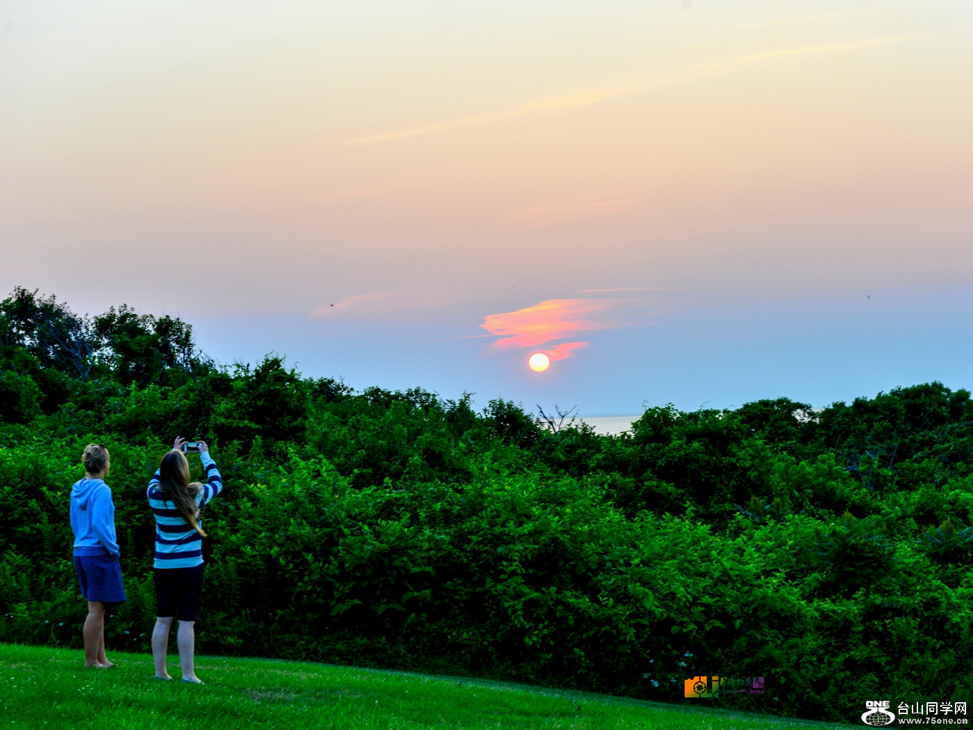DSC_2948_.jpg